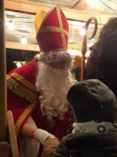 Der Nikolaus als Schutzpatron der Kinder ist für Amalie unterwegs in Meersburg und Umgebung. Foto: AMALIE.